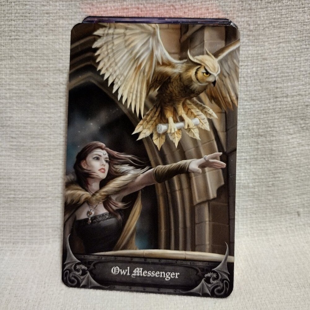 Gothic Oracle - Picture 5 of 13